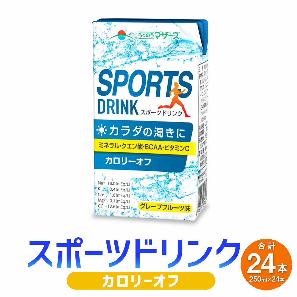 【ふるさと納税】スポーツドリンク250ml 24本 飲み物 飲物 飲料 スポーツ飲料 ドリンク BCAA含有 熱中症対策 塩分 水分 カロリーオフ 九州 熊本県 送料無料 【2025年6月上旬発送予定】