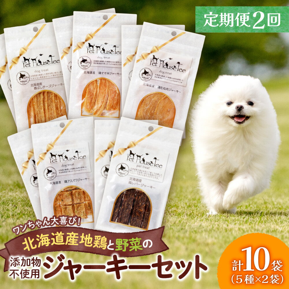 【ふるさと納税】 定期便 2回 無添加ジャーキー セット 5種類 2袋 愛犬用 ペットフード 地鶏 鶏 野菜 無添加 動物 犬 ドッグ ペット ご褒美 餌 フード エサ おやつ 乾物 ごはん ご飯 間食 ペットフード ドックフード 北海道 札幌市