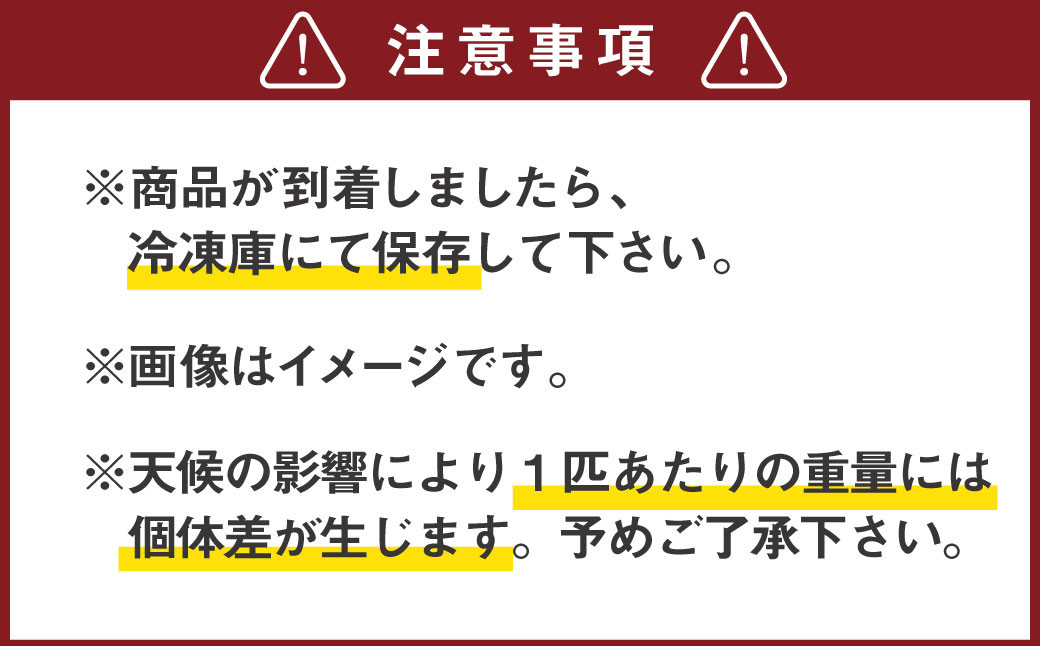 清流「川辺川」 冷凍 天然鮎 合計約1kg 鮎 甘露煮 塩焼き