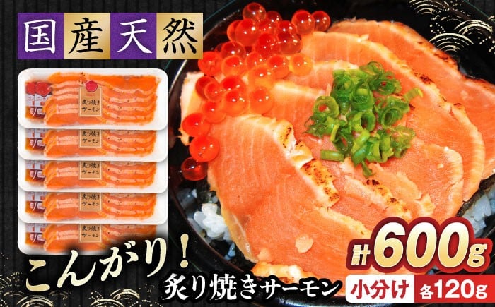 
            サーモン 鮭 炙り焼きサーモン 120g×5パック 長浜市/株式会社中村屋 [AQAJ005] サーモン 小分け スライス 冷蔵 人気 サーモン 鮭 スモークサーモン スモークサーモン 鮭 燻製 刺身 グルメ 贅沢 魚介類 前菜 おつまみ サラダ シーフード クリームチーズ サンドイッチ 海鮮セット パーティー用 人気 ギフト 贈答 炙り 刺身
          