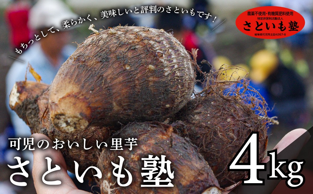 
                  可児のおいしい里芋『さといも塾』【 野菜 土垂れ もちっと 柔らか 煮物 煮っころがし 芋煮 食物繊維 ミネラル カリウム NPO法人 】
                