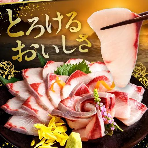 ＜2026年9月発送分＞活じめ！黒瀬ぶりの生鮮ブリロイン2節（1.0kg前後）_K001-012-2609