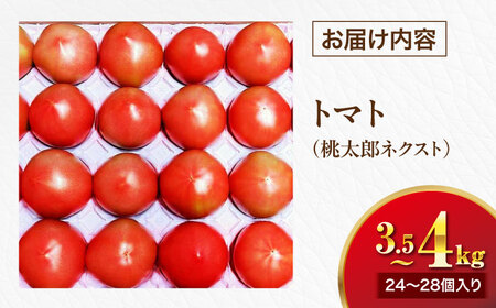【先行予約】【4月中旬から順次発送】トマト 桃太郎ネクスト 24〜28個入り（約3.5kg〜4kg） 愛媛県大洲市/にのみや農園 トマト とまと tomato 野菜 旬野菜 春夏野菜[AGDG007]