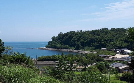 C1-24 【先行予約】自然薯・豊後高田そばセット 4人前