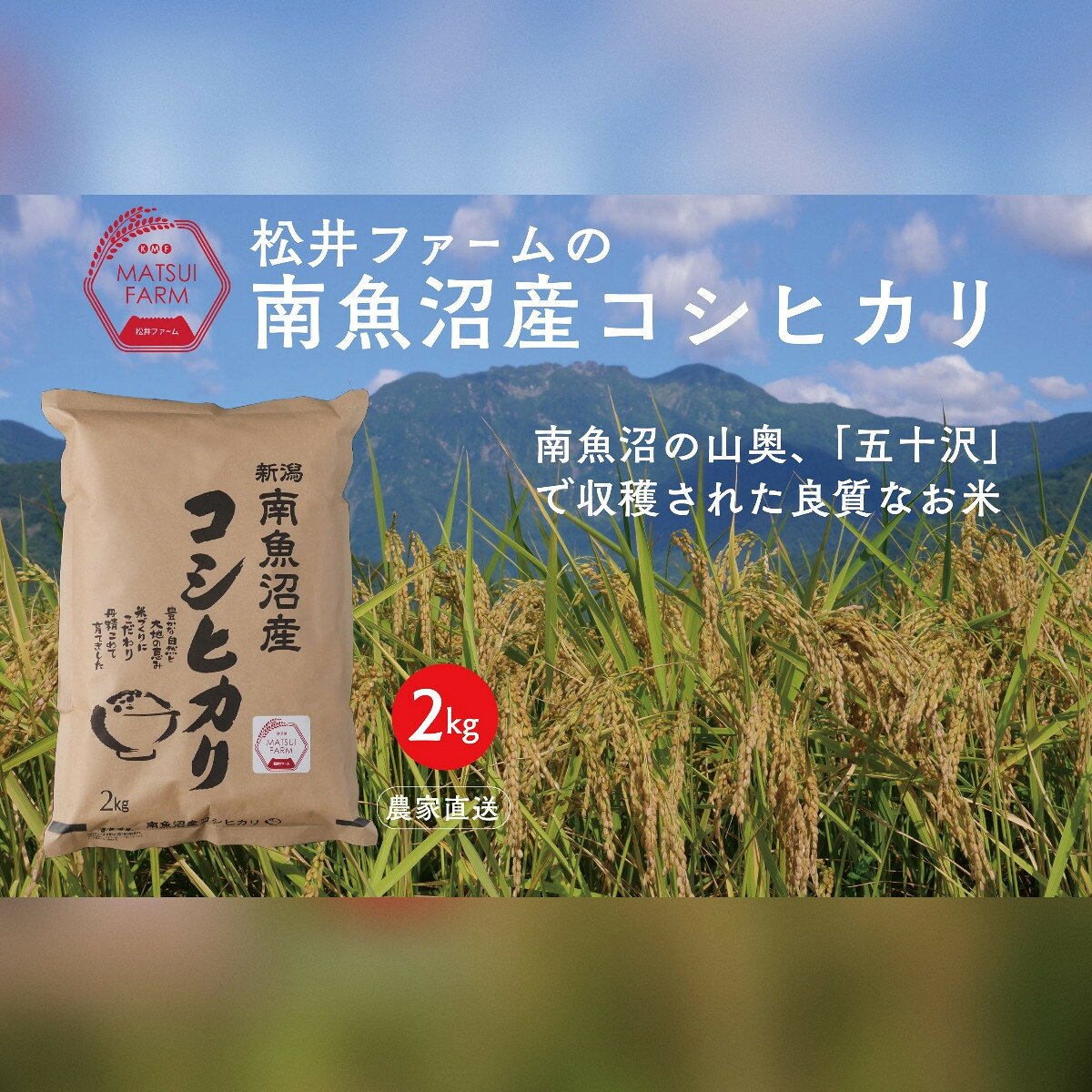 【ふるさと納税】令和8年産【新米】【定期便（無洗米）】南魚沼産コシヒカリ（2kg×12回)