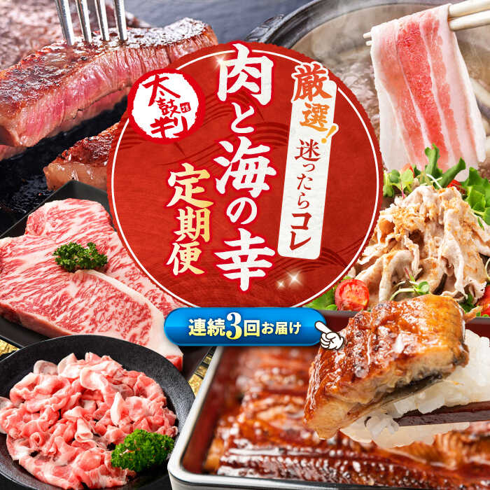 【ふるさと納税】【3回定期便】 お肉 と 海の幸 ～見つけた！西海の宝物 定期便 ～ [CZZ020] 長崎 西海 豚肉 和牛 国産豚 こま切れ サーロイン ステーキ 鰻 うなぎ 定期便