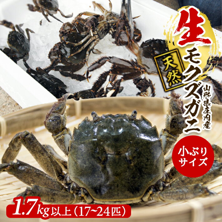 【ふるさと納税】生・天然モクズガニ 1.7kg以上 小ぶりサイズ 17～24匹 オス・メス混合 山形県庄内産 9月中旬～12月上旬頃順次発送 冷蔵便 ※着日指定・離島（沖縄県を含む）発送不可 カニ 蟹 かに 川ガニ 新鮮 鮮魚 まるごと 姿 カニみそ 味噌汁 蒸し蟹 期間限定