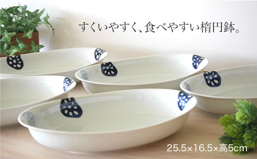 WB20 【波佐見焼】カレーパスタ皿5枚セット（レンコン柄）【和山】-2