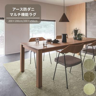 ふるさと納税 八尾市 (ライトグリーン・200×250cm) 防虫・防ダニ・防カビ・抗菌のマルチ機能無地ラグ(H146)