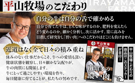 国産 知多牛 響 ハンバーグ 3kg ( 130g × 24個 ) 合挽 あいびき 玉ねぎ 牛 豚肉 牛乳 卵 塩 胡椒 ご飯 ごはん おかず 料理 人気 おすすめ 愛知県 南知多町 [配送不可地域：