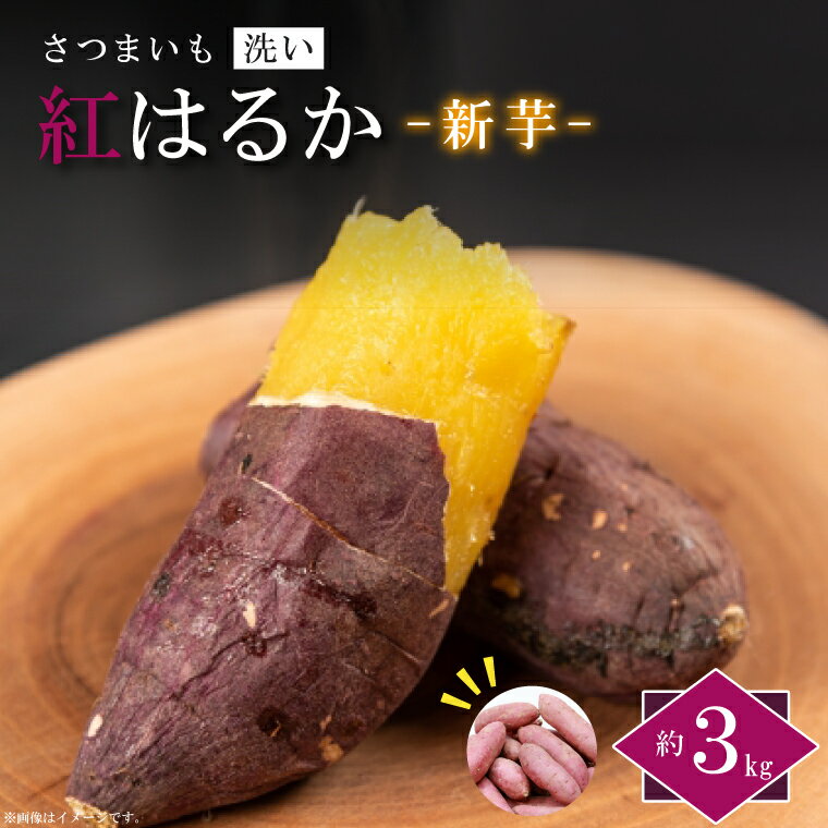 【ふるさと納税】【2026年9月より順次発送】農産物直売所「やさいの声」さつまいも　紅はるか　新芋　洗い　約3kg(EK-8)