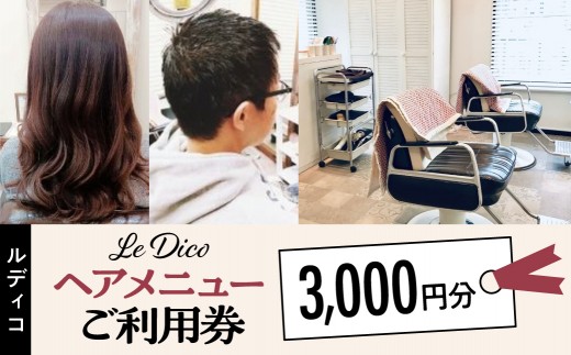 【ル・ディコ】ヘアメニューご利用券（3,000円分）【利用券 チケット 美容室 完全予約制 アットホーム 駅チカ 東京都 渋谷区】