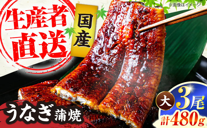 福岡県産 うなぎ 蒲焼 大3尾 合計 480 g（1尾あたり 160g以上）《豊前市》【福岡養鰻】 国産 うなぎ 大 [VAD003]
