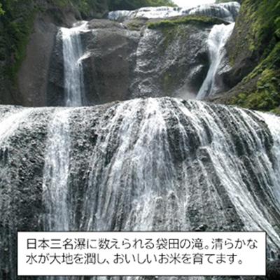 ふるさと納税 茨城県 筑波山麓産米を中心に厳選した【茨城県産こしひかり】白米10kg 令和7年産 |  | 02