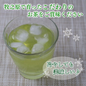 緑茶ティーバッグ ティーバッグ 計175個 緑茶ティーバッグ