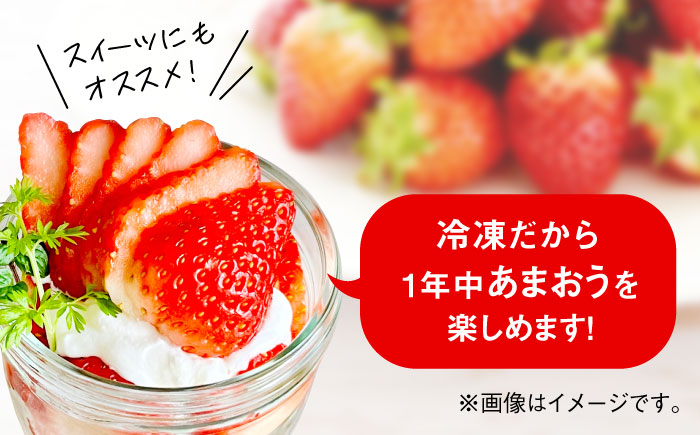 福岡県産【博多冷凍あまおう】約500g×2袋 合計約1kg《築上町》【株式会社H&Futures】 [ABDG005] 11000円 1万1千円