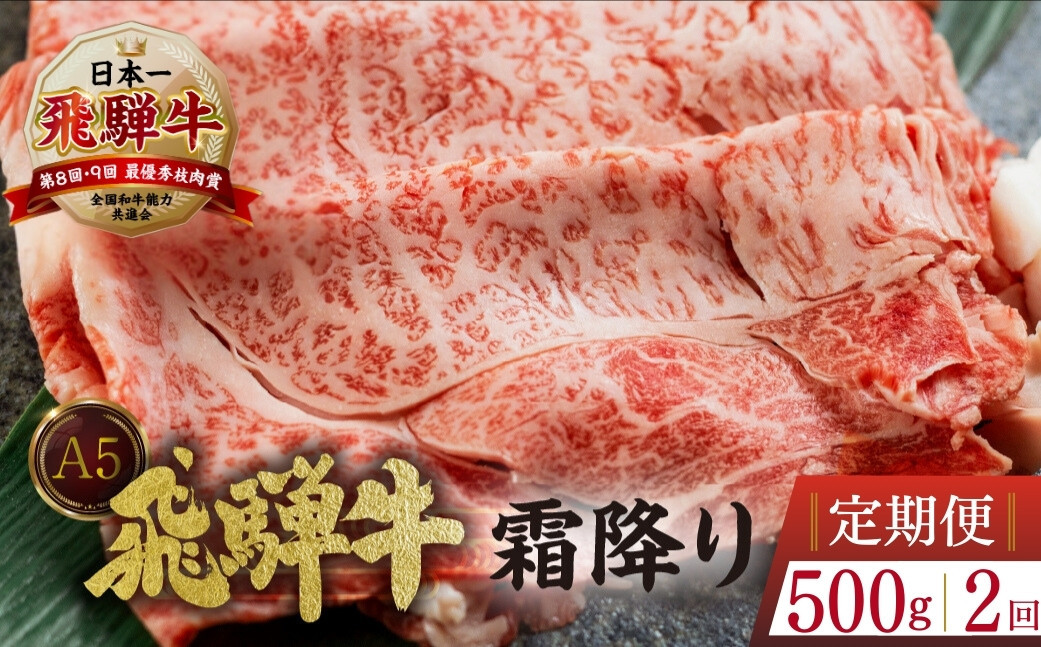 
            【定期便】[A5等級] 飛騨牛 霜降り すき焼き ・ しゃぶしゃぶ 用 500g 2回お届け | 2ヶ月 すき焼き  A5 a5 5等級 飛騨牛 和牛 国産牛 黒毛和牛 牛肉 肉 肩ロース すきやき トキノ屋食品 本巣市 すき焼き用牛肉
          