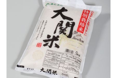 B27-36 大関米5㎏×2袋【令和７年産】
