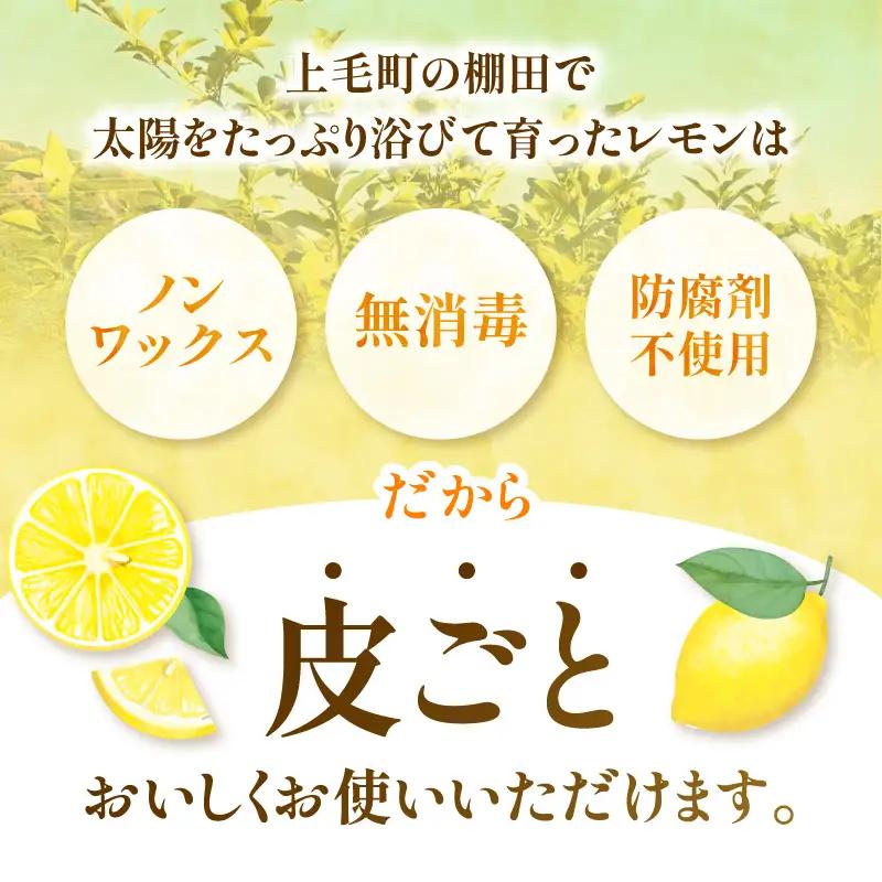 【先行受付】 上毛町産ラフマイヤーレモン 2kg （完熟レモン） _OF0608