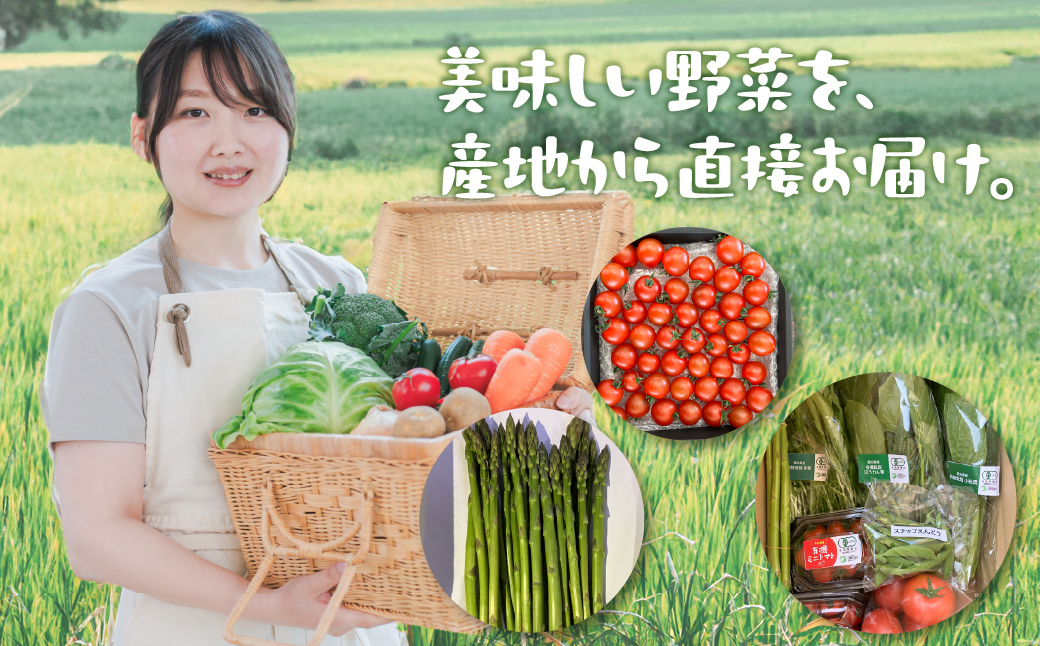 㓛農野菜8種類セット 8種 野菜 セット 有機栽培 ミニトマト アスパラ トマト ほうれん草 水菜 春菊 ネギ 小松菜 高糖度 新鮮 産地直送 季節の野菜 詰め合わせ やさい 自然 安心安全 旬 送料