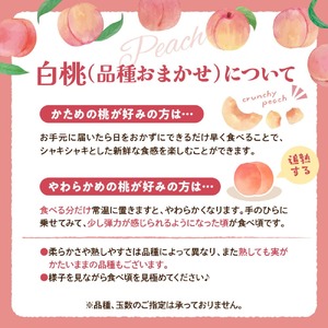 【令和7年産】白桃 品種おまかせ 2kg (6～8玉前後) ギフト箱入 秀品 山形県河北町産 【山形eLab】