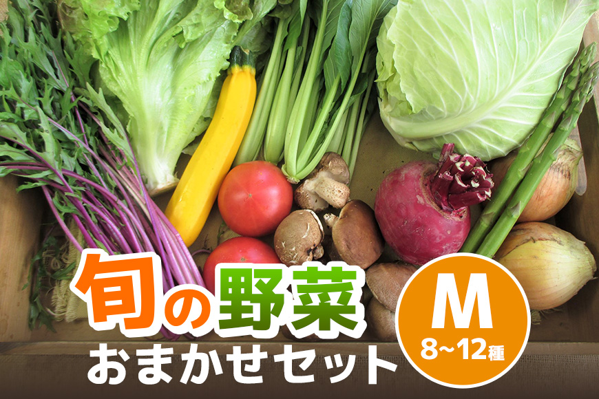旬の野菜【M】セット【配達不可：北海道・沖縄・離島】