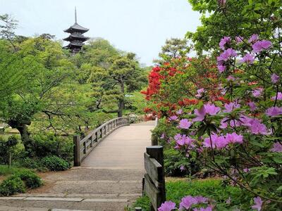 国指定名勝三溪園　招待券（２枚）