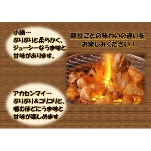 国産牛　ホルモン二種セット2000g