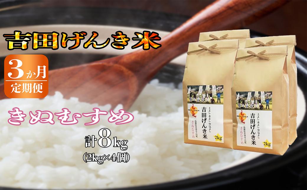 
【定期便3か月連続お届け】「吉田げんき米」きぬむすめ8kg（2kg×4）【島根県産 雲南市産 ブランド米 米 お米 白米 コメ こめ おこめ ライス 精米 ふっくら ツヤツヤ 炊き立て 甘い 美味しい 家庭用 ふるさと ご飯 おうちご飯 袋 自然 天然 送料無料 定番 朝食 昼食 夜食】
