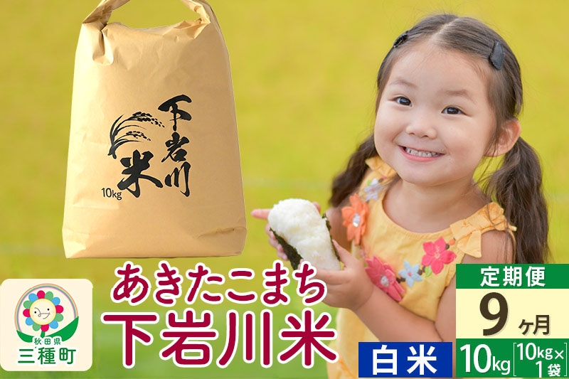 
            【R8年新米予約】 《9ヶ月定期便》【白米】あきたこまち 10kg (10kg×1袋) 秋田県三種町産 令和8年産 下岩川米
          