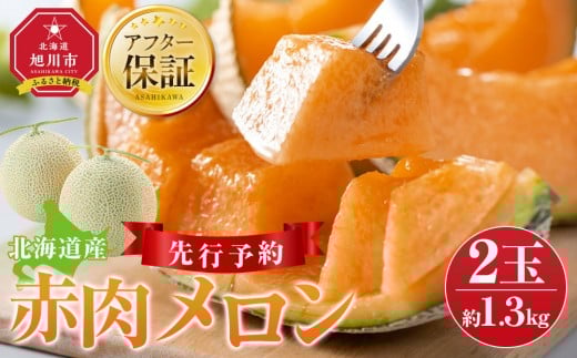 【26年発送先行予約】北海道産赤肉メロン約1.3kg×2玉 (2026年7月中旬から発送開始予定)