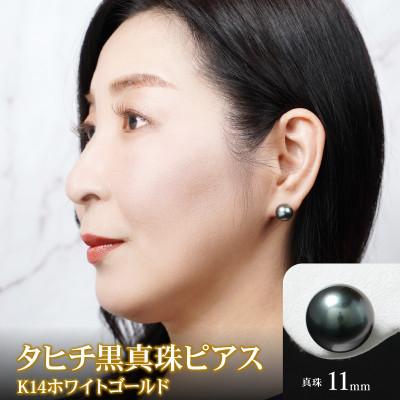 ふるさと納税 延岡市 タヒチ黒真珠 ピアス 真珠 11mm 14Kホワイトゴールド