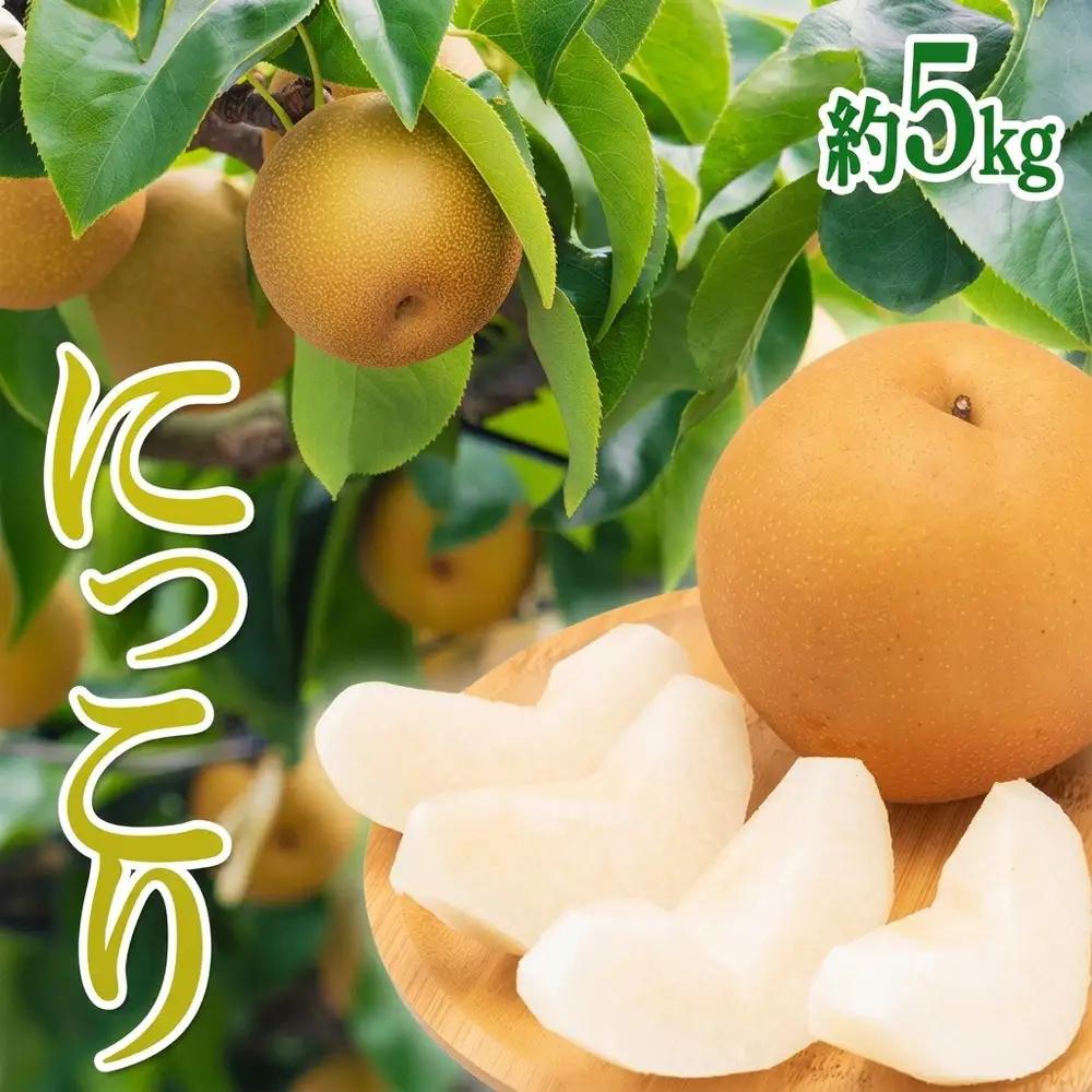 茨城県産【にっこり梨】約5kg【土浦市産】※2026年10月～発送