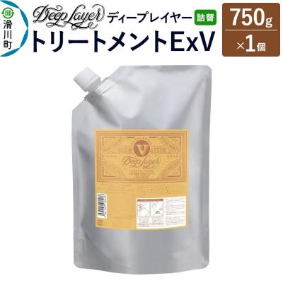 ふるさと納税 滑川町 ディープレイヤー トリートメント ExV 詰替 750g×1個|19_sss-380101