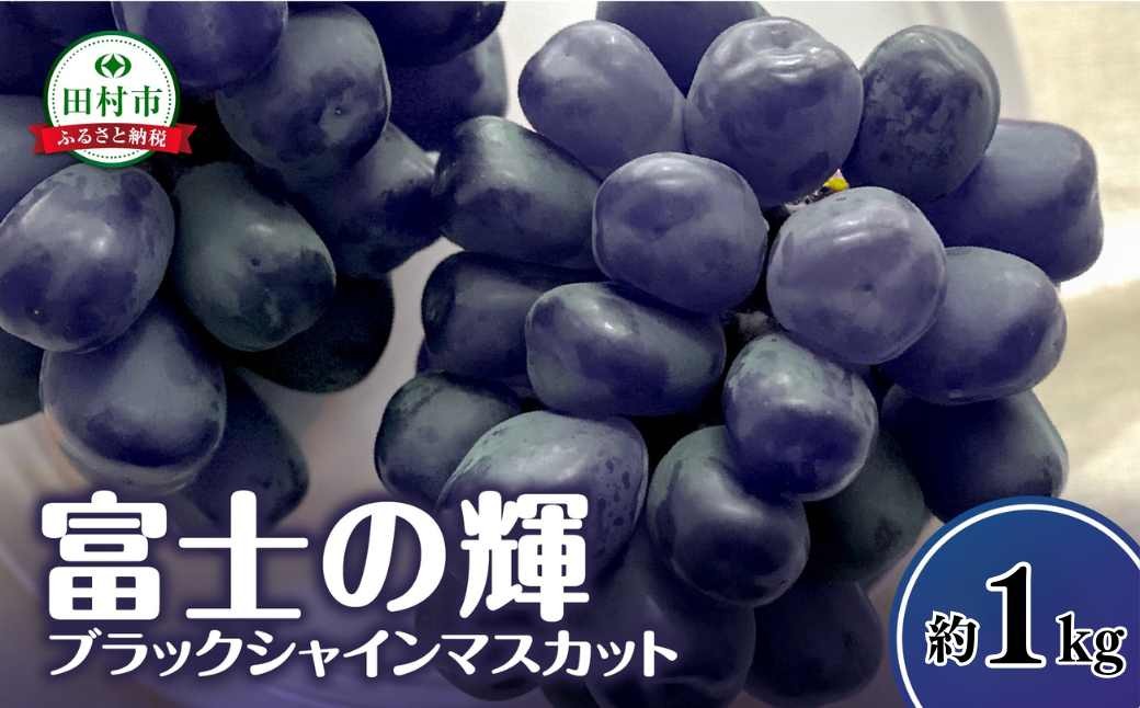 
                  【先行予約】富士の輝 約1kg 冷蔵 種無し 種なし 家庭用 シャインマスカット ブドウ ぶどう 品種 果物 甘い 巨峰 美味しい 希少 人気 ランキング おすすめ 福島県 田村市  鈴木農園
                