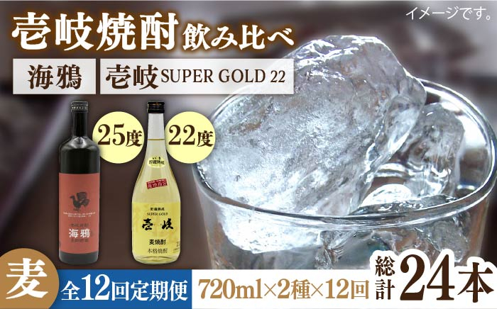 
            【全12回定期便】海鴉25度と壱岐スーパーゴールド22度のセット [JDB185]   200000 200000円 20万円
          