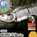 【ふるさと納税】先行予約 北海道産 新巻鮭 半身 約1.6kg　【魚貝類 サーモン 鮭 切り身 サケ 約2.5kg】　お届け：2024年10月～