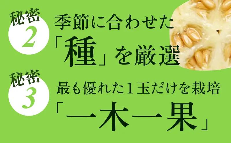 【奇数月定期便】クラウンメロン 白等級 1.3kg前後 1玉入り 