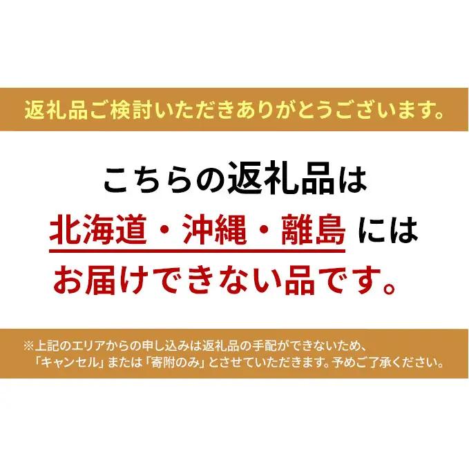 【 先行予約 】【 数量限定 】 シャインマスカット 500g以上 1房 フルーツ 果物 くだもの ぶどう ブドウ 葡萄 大粒 高級 皮ごと デザート 贈り物 ギフト 贈答品 季節限定 旬 大阪府 岸