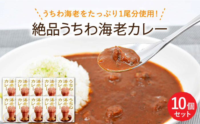 
【時間指定 可能】【出汁も身もうちわ海老！！】絶品 うちわ海老カレー（5食セット） [KAA206]
