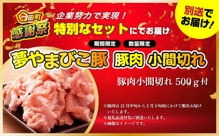 【ふるなびWEEK対象】【期間限定 幸田町大感謝祭】エアウィーヴ ベッドマットレス S02 シングル ｴｱｳｨｰｳﾞ FN-Limited-PR