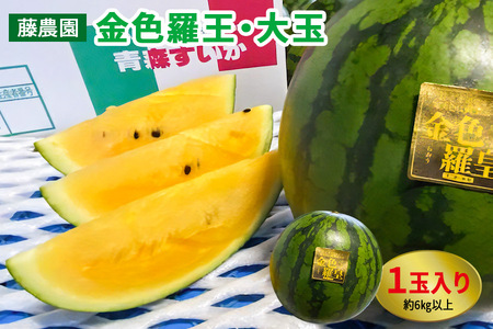 黄色いスイカ 金色羅王 大玉 1玉｜青森産 産直 2025年産 令和7年 夏 すいか 西瓜 果物 フルーツ 旬 特産 藤農園 農福連携 ラオウ らおう 羅皇 [0621]