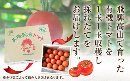 【2026年夏 先行予約】（8月上旬から順次発送予定）飛騨高山産 有機トマト「王様トマト」4kg | 大玉トマト とまと 麗月 れおん 野菜 樹熟 飛騨高山 山藏農園 JC012