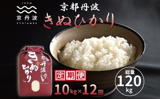 【12カ月定期便】 京丹波きぬひかり 10kg×12カ月連続 合計120kg 令和7年産 京都 米 精米 キヌヒカリ ※北海道・東北・沖縄・その他離島は配送不可 [216MB002R]