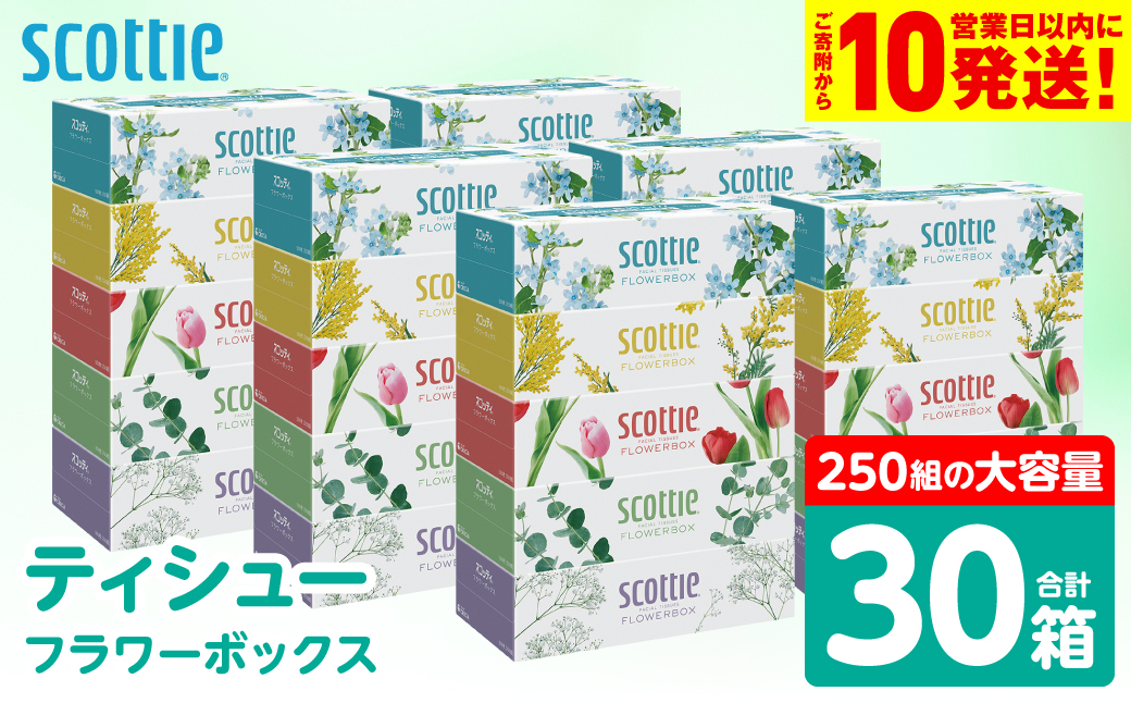 【スコッティ】 ティシュー フラワーボックス 250組 30箱 ティッシュ 日用品 生活必需品 消耗品 紙 まとめ買い 備蓄 防災備蓄 デザインボックス ストック 新生活 防災 生活用品 日用消耗品 箱ティッシュ