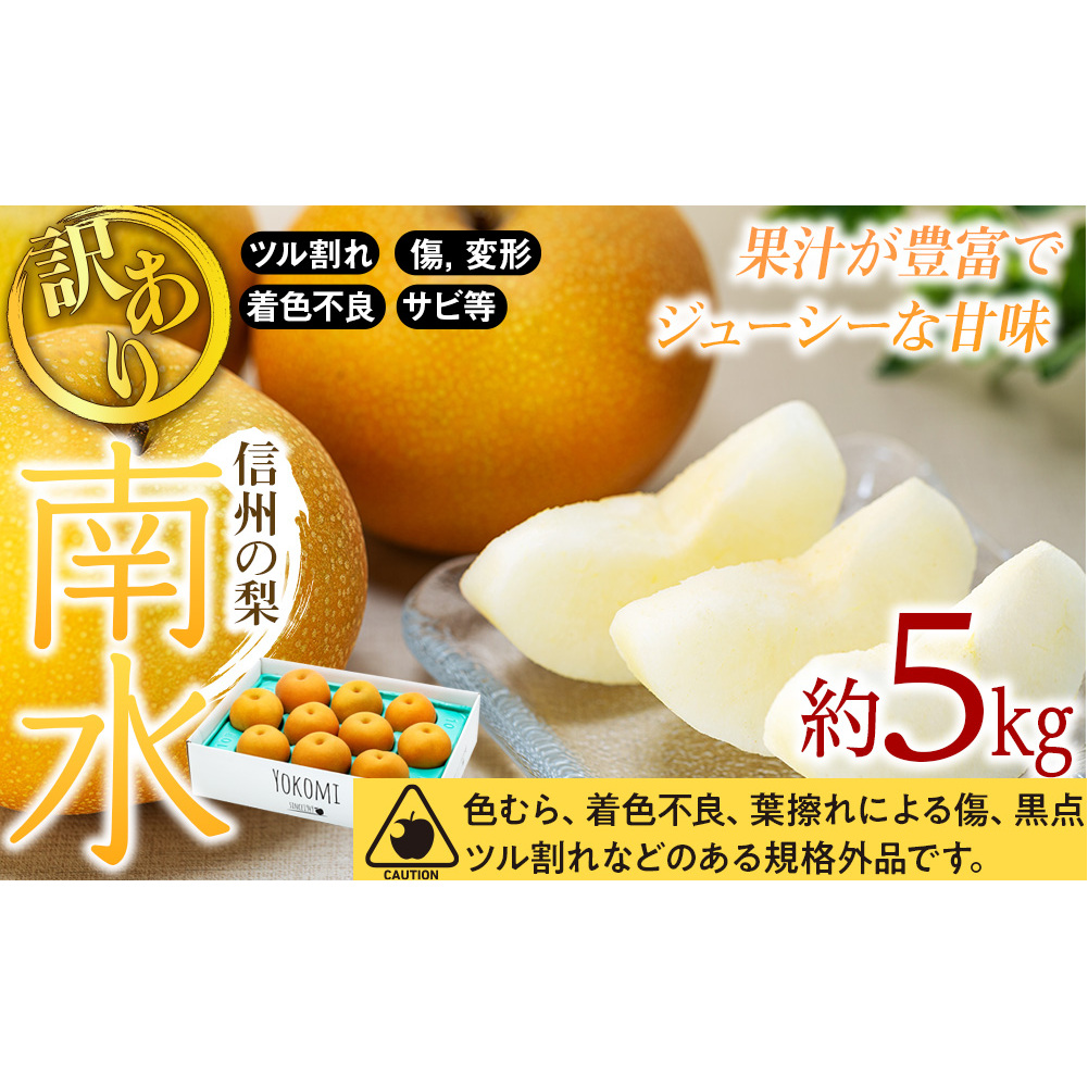 【2026年/令和8年度発送分 】 訳あり 梨 長野 南水 約 5kg 信州の梨 フルーツ 果物 デザート おやつ なし ナシ なんすい ナンスイ 産地直送 長野県 長野県産 信州産 長野県箕輪町