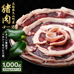 GB-10　猪肉　ロース　1kg（250g×4パック）