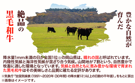 牛肉 黒毛和牛 切り落とし 1kg《30日以内に出荷予定(土日祝除く)》 岡山県 浅口市 牛 牛肉 和牛 牛丼 カレー 小分け 小分けパック 250g 送料無料