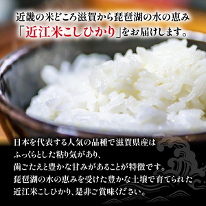 【定期便】令和5年産 こしひかり 10kg 全6回 近江米 米粉 200g付（竜王町産 こしひかり 新米 こしひかり 白米 こしひかり 精米 こしひかり 10キロ こしひかり）