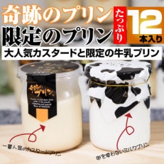 旭山　奇跡のプリンと限定牛乳プリンの計12本セット